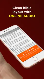 kjv bible offline - audio kjv iphone screenshot 3