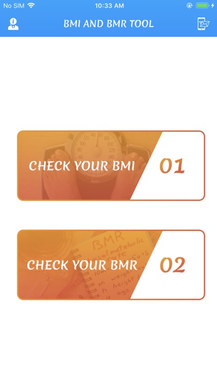 Bmi and Bmr Tool