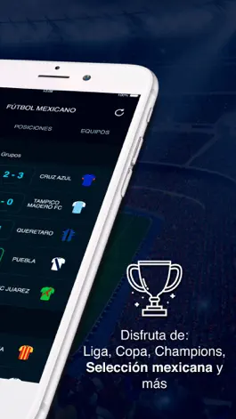 Game screenshot Futbol Mexicano apk