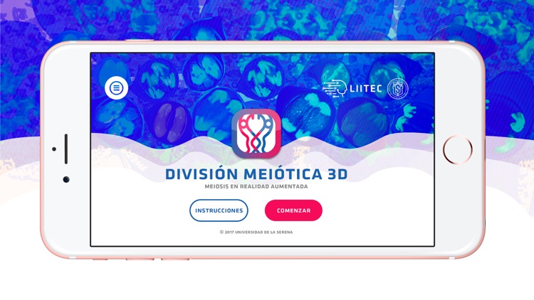 3D Meiotic Division