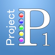 Activities of Project P1