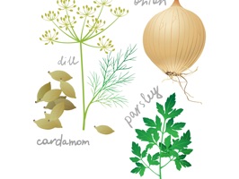 The VegetalSt is a good sticker, which are designed with the vegetal