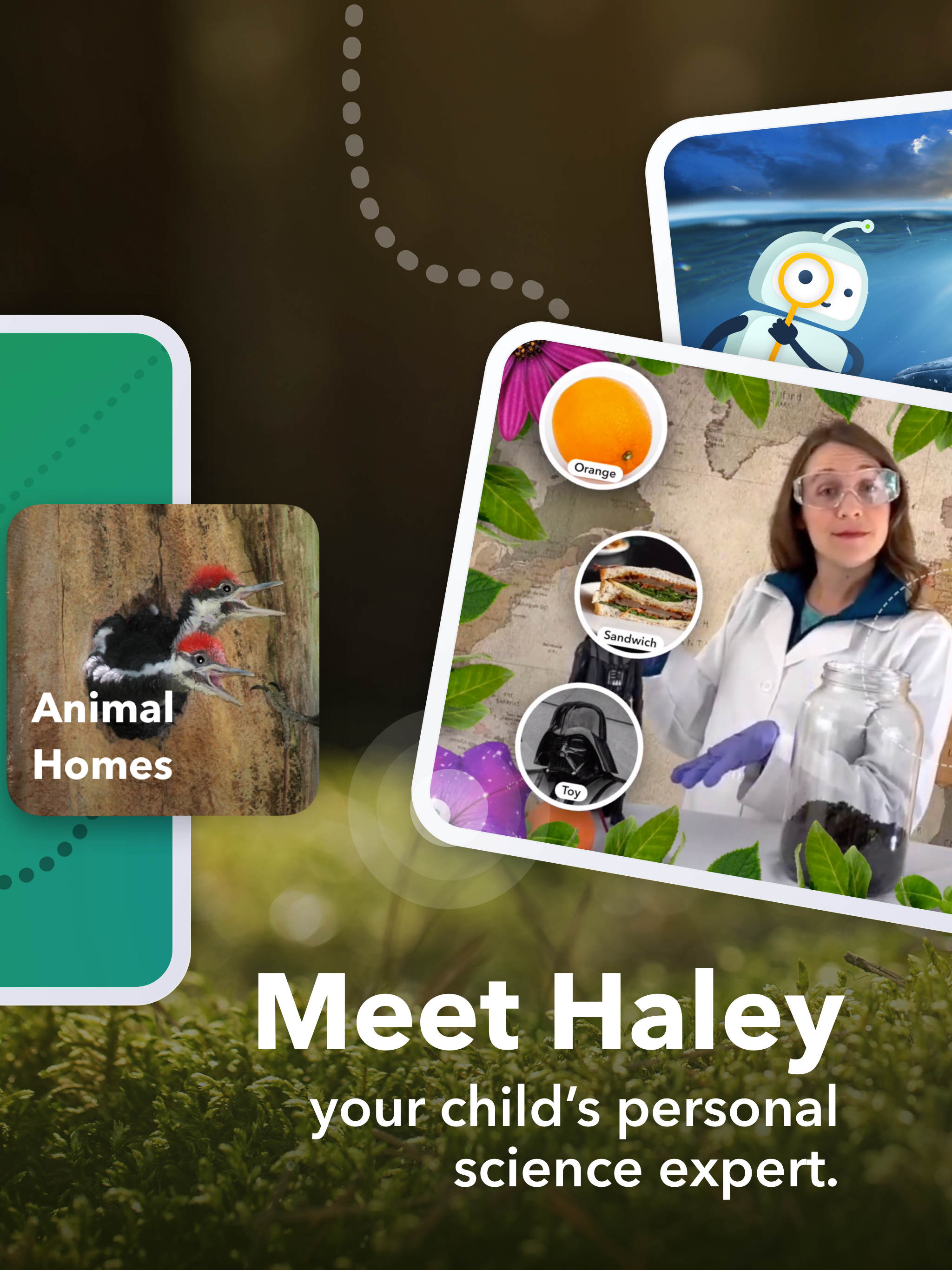 Animal Habitats & Ecosystems screenshot 13