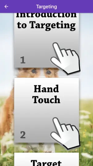 Basic Dog Training screenshot 2