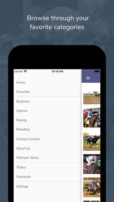 Screenshot #2 pour The Racing Biz