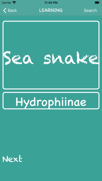 Pro Scientific Names