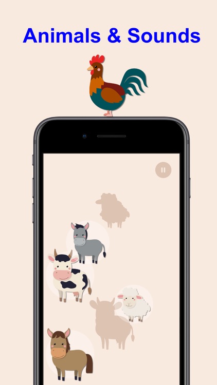 Shapes and Colors for Toddlers