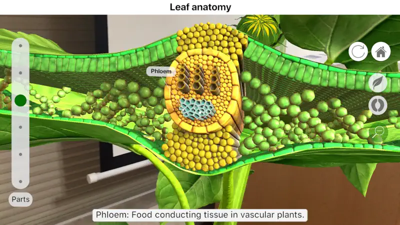 Plantale screenshot 4 of 5