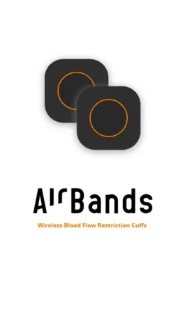 Game screenshot AirBands mod apk