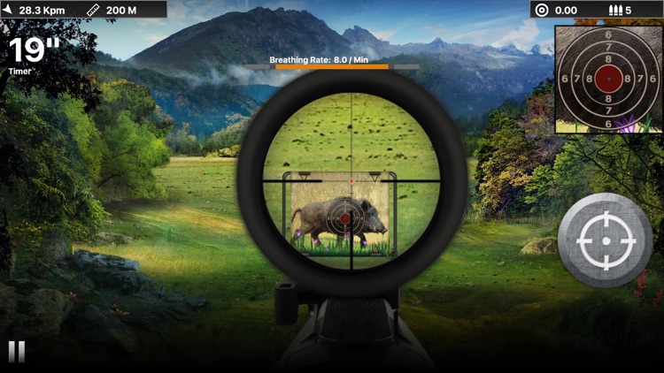 Wild Boar Target Shooting