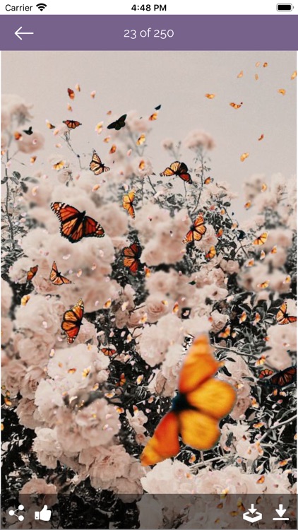 aesthetic wallpapers screenshot-5