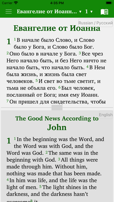 Bible in 14 world languages Screenshot