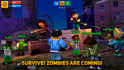 Block City Wars screenshot 3