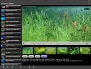Aquarium Videos ipad bilder 1