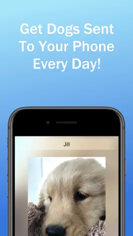 Game screenshot Dog of the Day apk