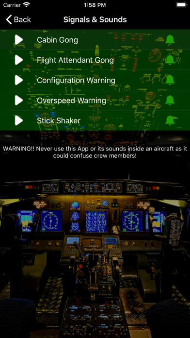 737 Voice - Aural Warnings screenshot 4