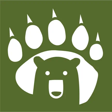 Bear Hollow Cheats