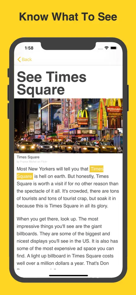 Obvious NYC ~ Travel Guide