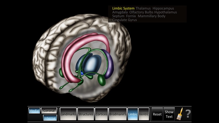 Cerebrum ID screenshot-3