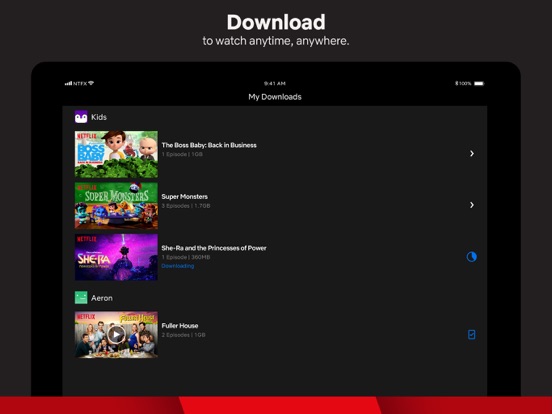 iPad Image of Netflix