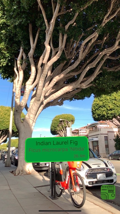 Urban Trees screenshot-8