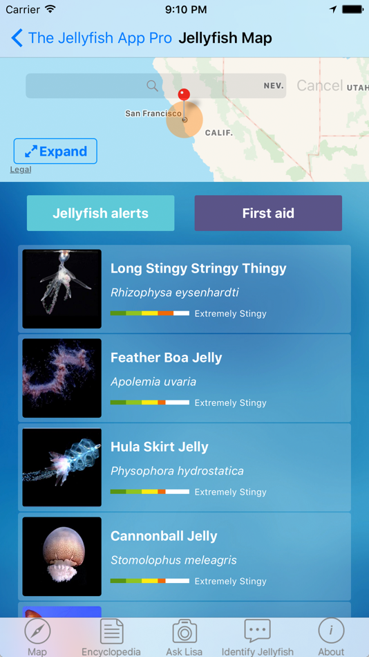 #3. The Jellyfish App Pro (iOS) 由: The Jellyfish App Pty Ltd