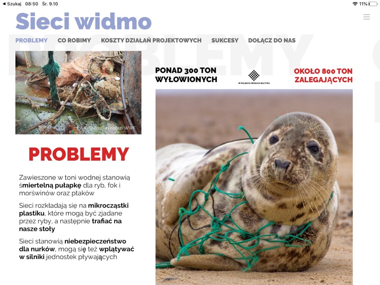 Pitchcardy screenshot-3