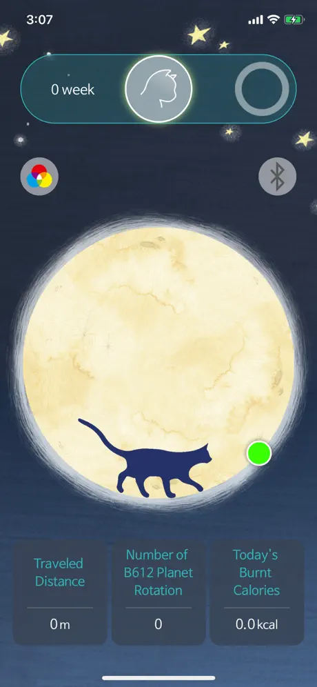 the Little Cat