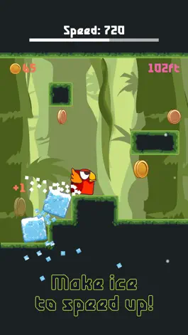 Game screenshot Bird Watch Game: learn to flap apk