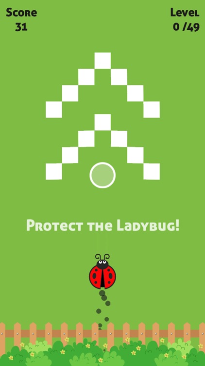 Ladybug!