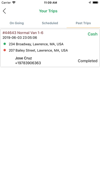 Icon Driver screenshot-4
