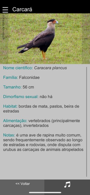 Guia Aves da Região Bragantina on the App Store