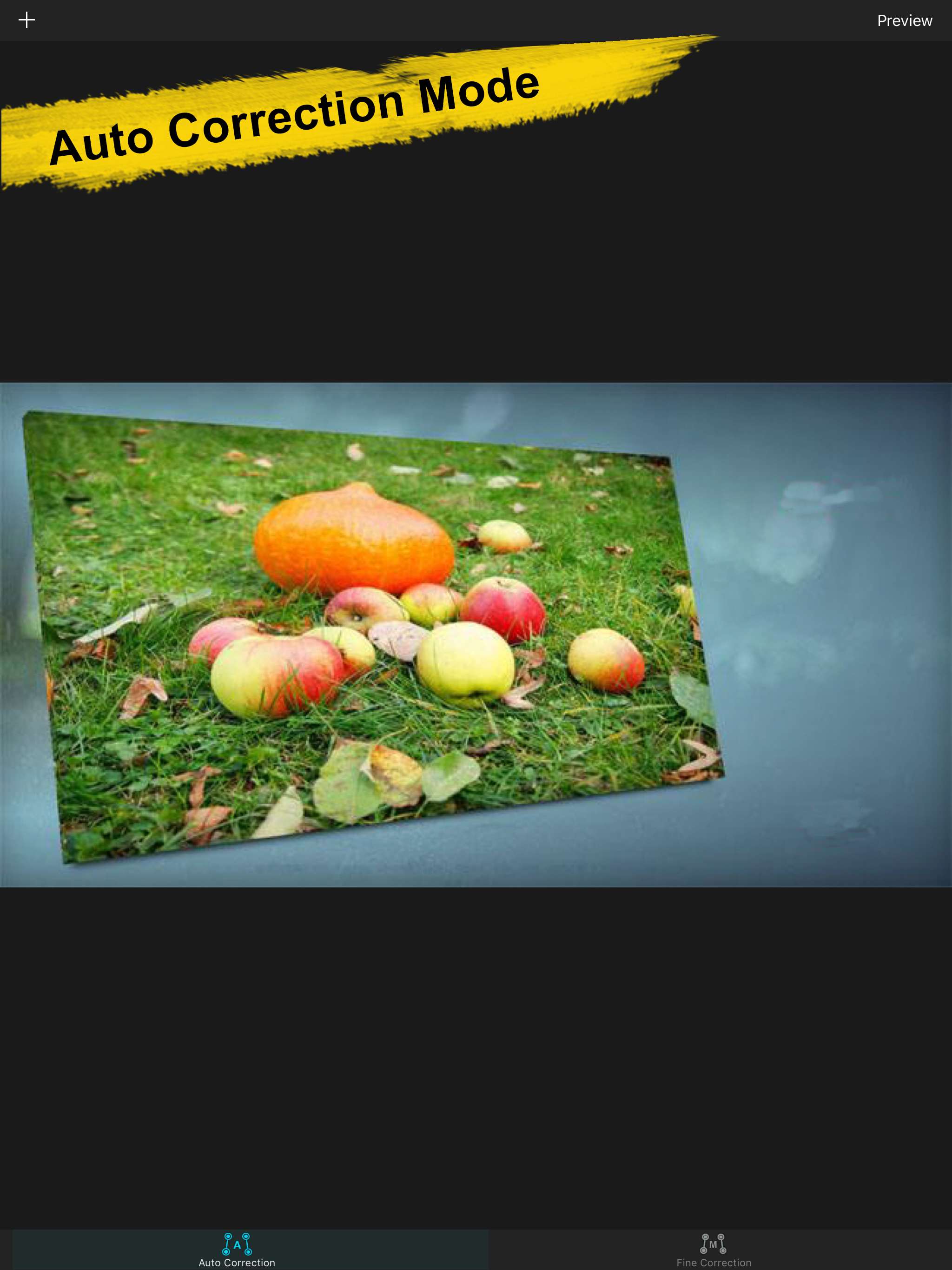 Photo Perspective Editor&Maker