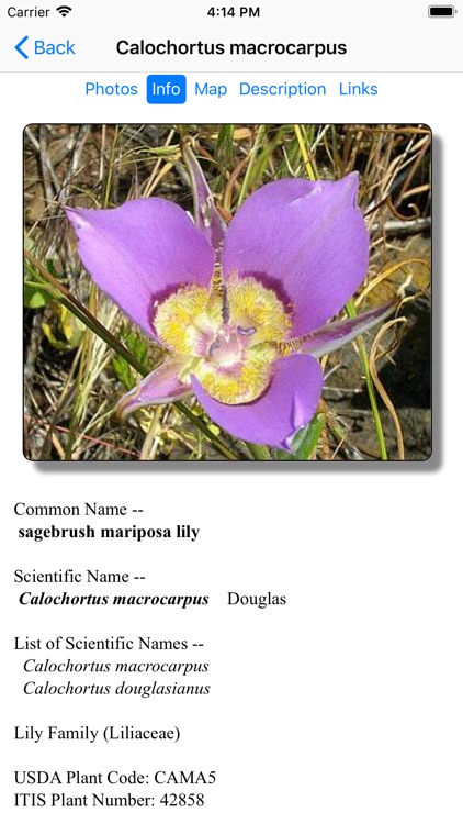 Idaho Wildflower Search