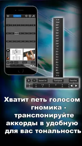 Game screenshot Аккорды для Бас Гитары Lite LR hack