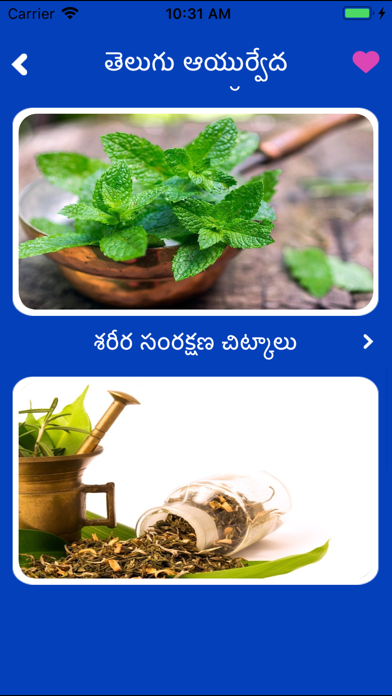 Telugu Ayurvedic Health Tips screenshot 4