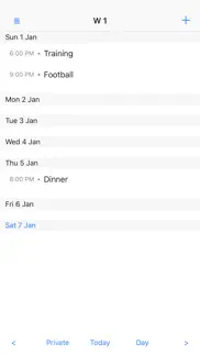 month view calendar iphone screenshot 4