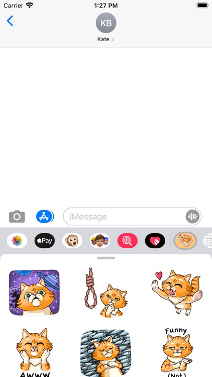 顽皮波纹猫 screenshot-3