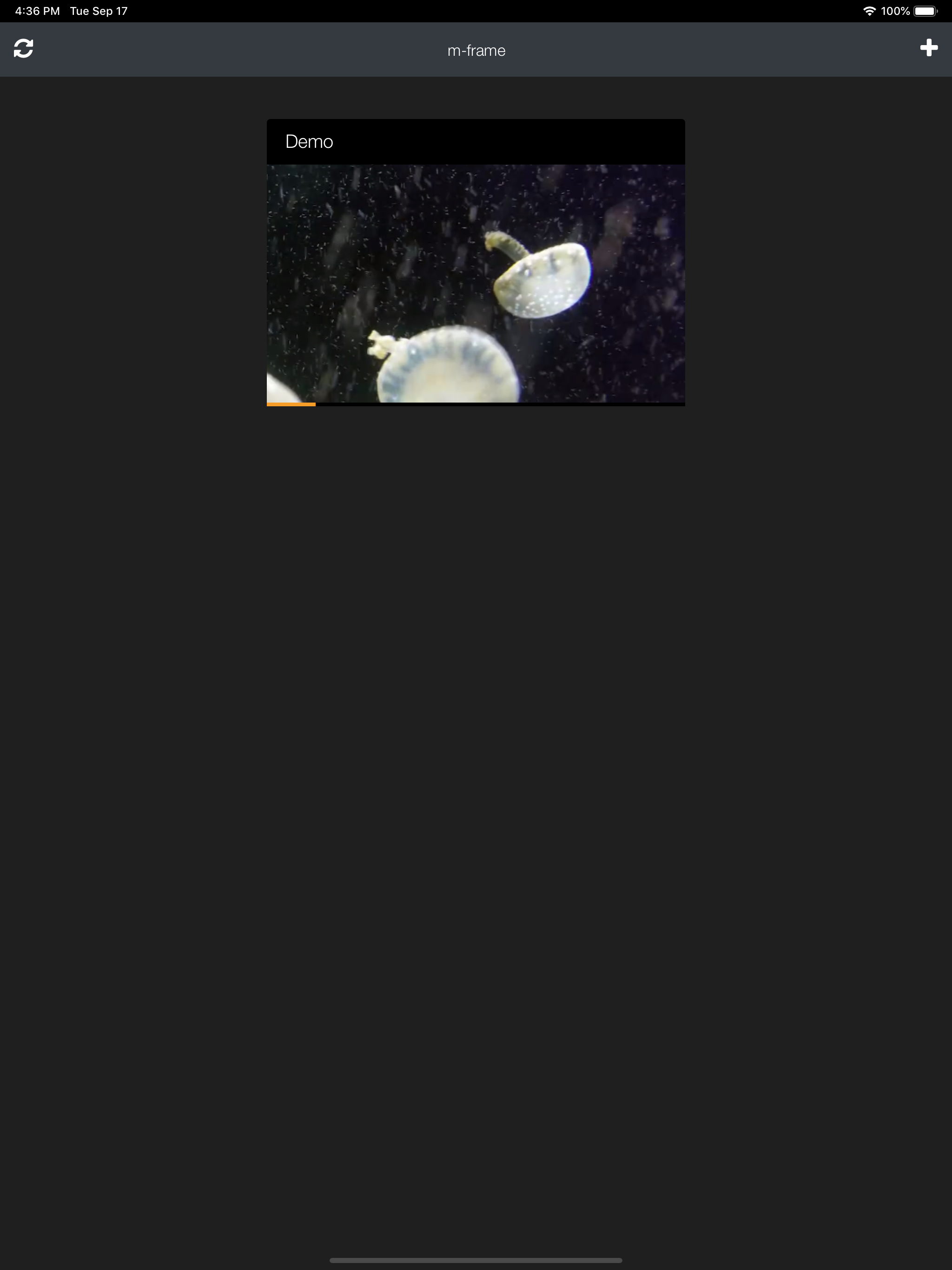 m-frame screenshot 3