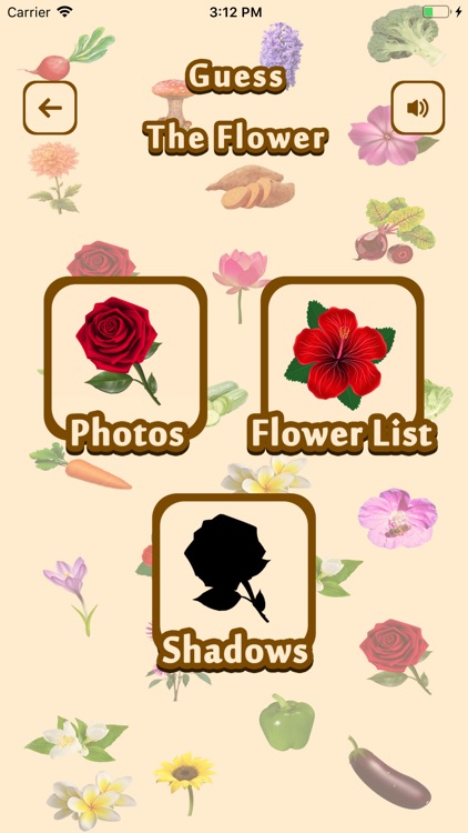 Master Guess Vegetable Flower