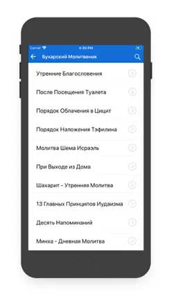 Бухарский-Bucharian Сидур iPhone image 4