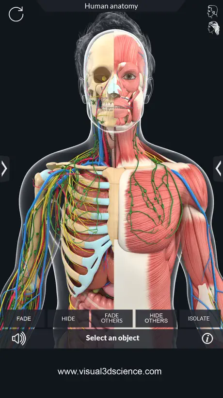 AR Human Anatomy