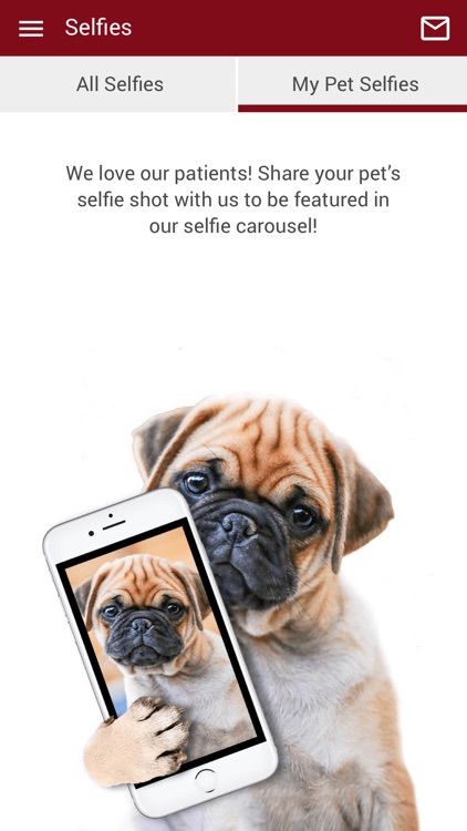 Animal Hospital of Falcon screenshot-3