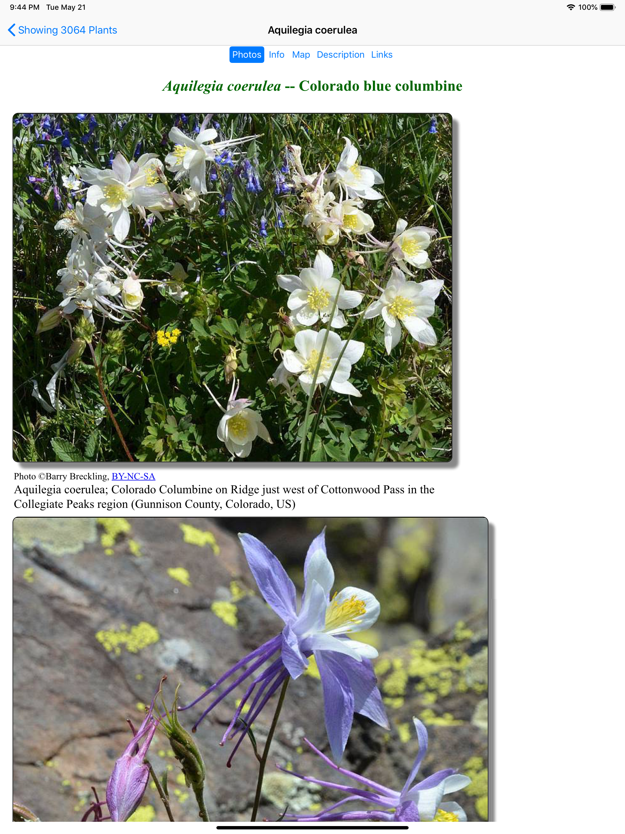 Idaho Wildflower Search