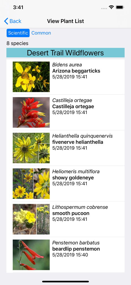 Northwest Mexico Wildflowers screenshot 8