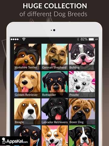 Dog Wallpapers- HD Backgroundsのおすすめ画像2