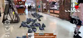 Game screenshot Anywhere Pigeon AR hack