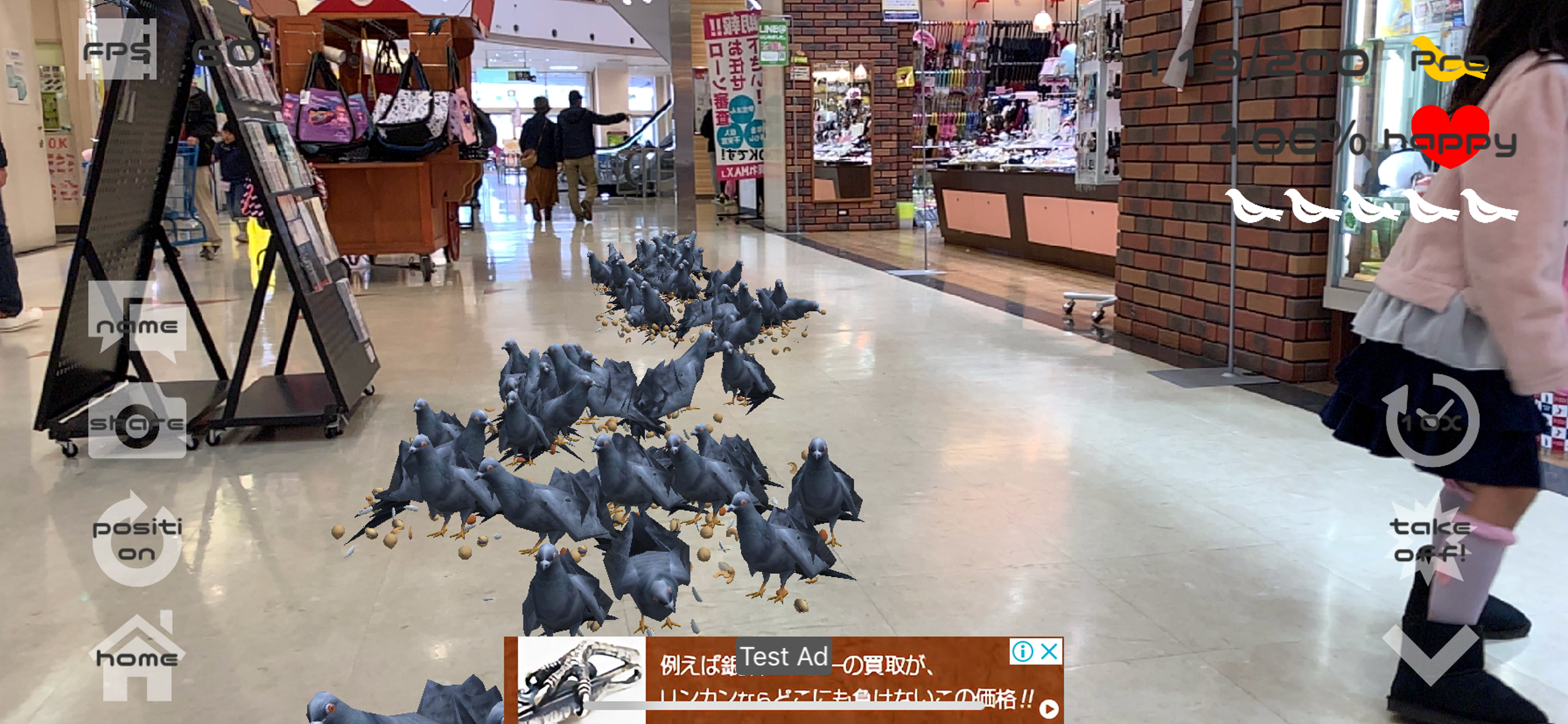Anywhere Pigeon AR