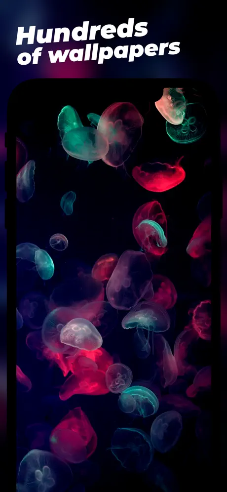 Dark Mode Wallpapers & Themes