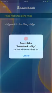 msign айфон картинки 1